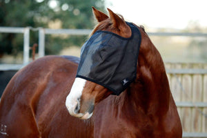 FLY MASKS